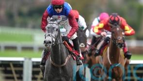 No Drama as Nicholls’ runner eases to Winter win