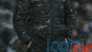 Phil Parkinson praises Wrexham display in draw with Preston