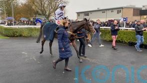 Why has Watts Wondering about Cheltenham