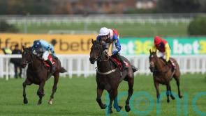 Hurricane Pat team take stock after impressive Sandown win