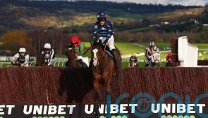 Blaze shows the Way home at Cheltenham