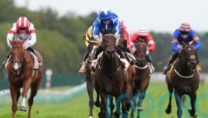 The Reverend could make hurdling bow this week