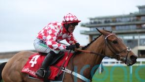 Henderson outlines potential routes to Cheltenham for talented Seven Barrows squad