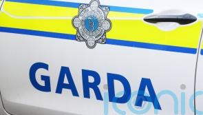 Woman in hospital after reported dog attack in Co Carlow