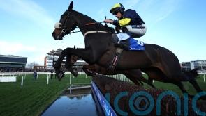 Snowden sets out Cheltenham goal for Wendigo