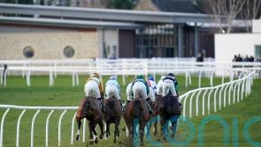 Catterick abandoned but racing goes ahead at Wolverhampton