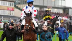 &lsquo;A sad day&rsquo; &ndash; Nicholls hit hard by fatal injury to Kalif Du Berlais