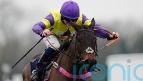 Nemean Lion raring to go for Windsor defence