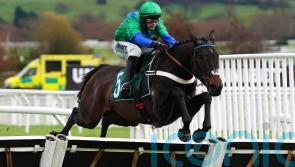 Old Park Star has owner dreaming of Supreme strike