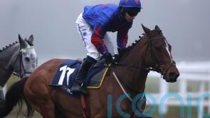 Josh looking to boss Great Yorkshire rivals