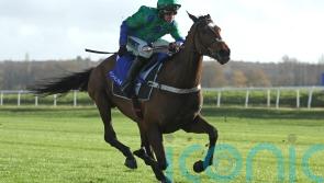 Act Of Innocence set to be seen next at Huntingdon