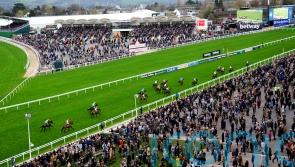 Coral ending long-running sponsorship of Cheltenham Festival handicap