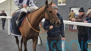 El Cairos survives minor scare to put Cheltenham case