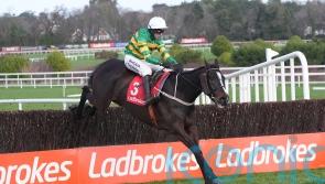 Kaid d&rsquo;Authie downs Final Demand in shock result