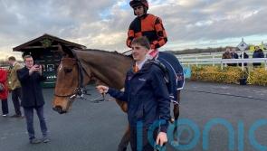 Pauling: Cheltenham still very much our aim with Diva Luna