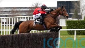 Myretown goes on trial for Cheltenham and Aintree