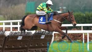 Ante-post favourite Narciso Has to miss Triumph Hurdle