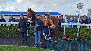 Melbourne Shamrock books Pertemps ticket at Naas