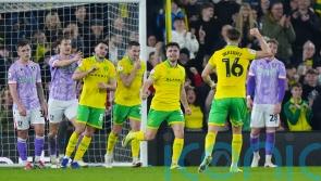 Sheffield Wednesday&rsquo;s misery compounded by defeat at Norwich