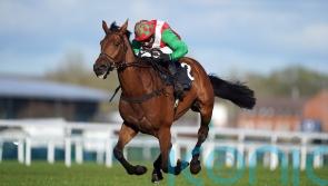 Heltenham the hero with Greatwood Gold Cup repeat