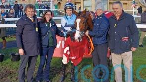 Paul Nolan planning strong Cheltenham Festival challenge