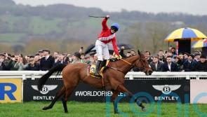 Envoi Allen ready for Cheltenham Gold Cup swansong
