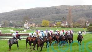Tempers rise as Cheltenham starts come into focus again