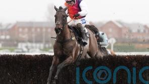 Haiti Couleurs primed for Cheltenham Gold Cup moment