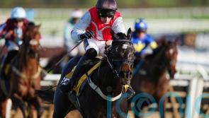 Nicol looking to Minella Study to pass Triumph test