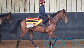 Home comforts likely for Pierre Bonnard before Epsom