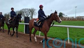 O&rsquo;Brien expecting Minnie Hauk to make her mark this year