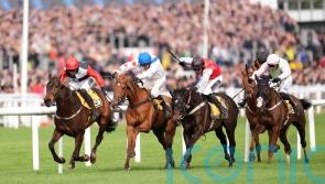 Nicol contemplates Flat campaign with Triumph third Minella Study