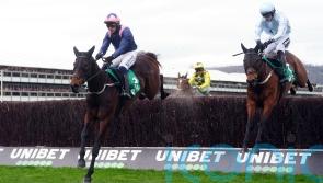 Kopek Des Bordes thriving since Cheltenham reverse