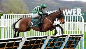 Hanlon has Irish National challenge in his thoughts for Hewick