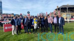 World picks up Beeswing fortunes at Kelso