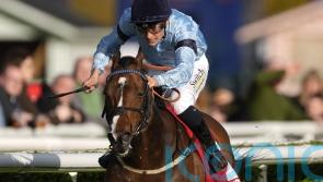 Spycatcher ticking all the boxes for Cammidge defence