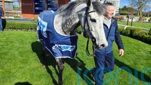 Einstein eclipsed as veteran Big Gossey takes Gladness again