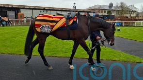 Gstaad could be the one for O&rsquo;Brien and Moore on 2000 Guineas day