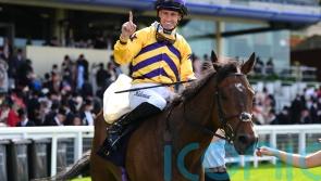 American Affair getting ready for York comeback