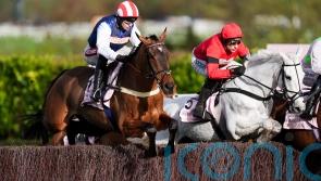 Punchestown bid still possible for The Jukebox Man