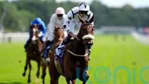 Al Qareem aiming to tower over Goliath rivals at Mussleburgh