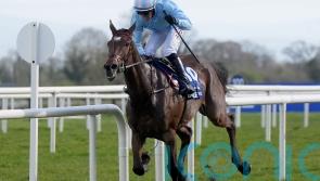 Soldier In Milan cruises to Irish National victory