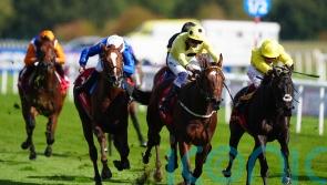 Avicenna pencilled in for Guineas trial starting point