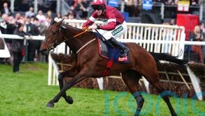 Brighterdaysahead and The New Lion clash again