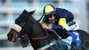 Wendigo out for Cheltenham compensation in the Mildmay