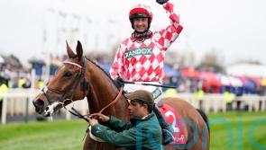 Jango Baie gains Cheltenham compensation with Bowl glory