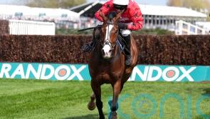 Mirabad much the best at 50-1 for Durrell and Skelton