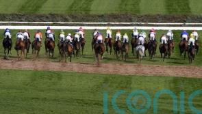 Three runners undergoing veterinary assessment following National