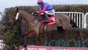 Mr Vango remains in equine hospital but reported to be doing well