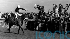 McCain: No reason I Am Maximus cannot make it three